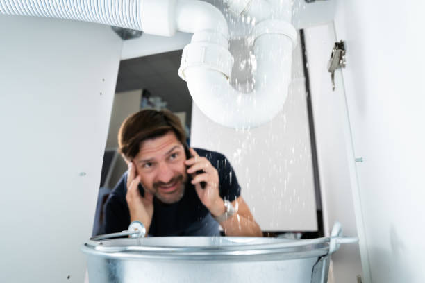 Best Water Softener Installation  in Elroy, WI