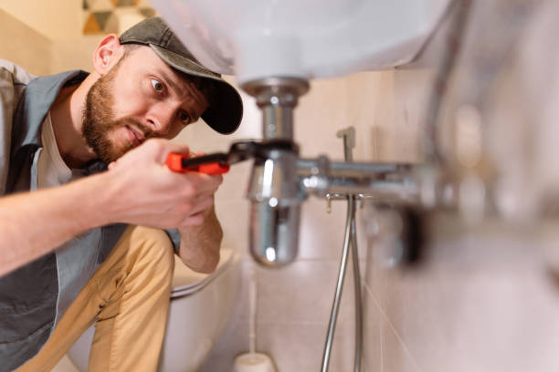 Best Toilet Repair Services  in Elroy, WI