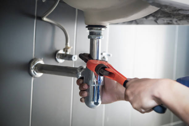 Best Commercial Plumbing Services  in Elroy, WI